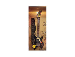 ESP Guitars Metin Türkcan Metoboy Signature image 4