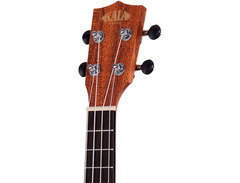 Kala SSTU image 4