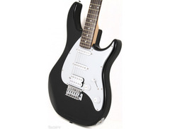 Peavey Raptor image 2