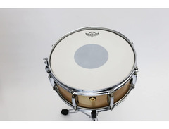 Remo Controlled Sound Coated Black Dot Drumhead image 2