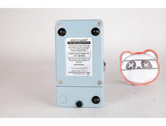 Biyang FZ-10 Baby Boom Fuzz Star - What To Know & Where To Buy