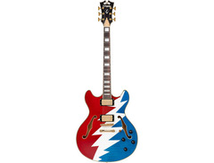 D'Angelico Grateful Dead Premier DC Semi-hollowbody Electric Guitar image 3