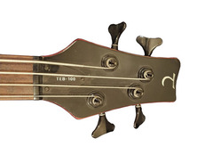 Tanglewood TEB-100 Bass Guitar image 4