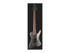 Dingwall Guitars D-Roc Standard 5-string Electric Bass Guitar image 2