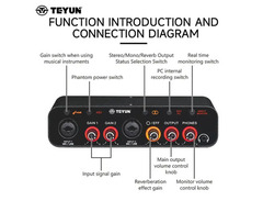 Teyun Q26 Audio Interface image 3