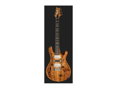 PRS Private Stock #11462 Special Semi-Hollow Electric Guitar image 2