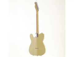 Amrita Custom Guitars 60s TL image 2