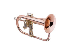 Allora AAFG-103F Bb Flugelhorn image 4