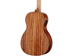Alvarez Artist Series AP66E image 2