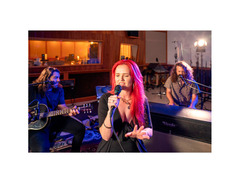 Audix OMX-E Cardioid Dynamic Microphone image 2