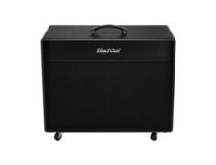 Bad Cat Cub V 120-Watt 2x12" Guitar Speaker Cabinet image 2