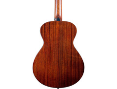 Breedlove	Discovery Companion image 2