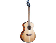 Breedlove	Discovery Companion image 3
