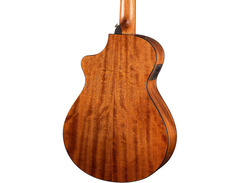 Breedlove	Discovery Companion CE image 2