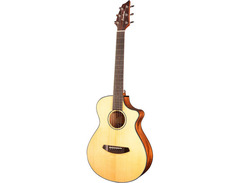 Breedlove	Discovery Companion CE image 3