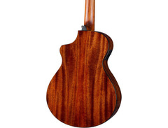 Breedlove Discovery S Companion CE image 2