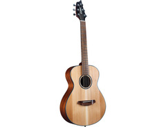 Breedlove Discovery S Companion image 3