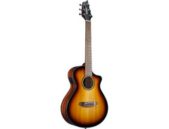 Breedlove Discovery S Companion CE image 3