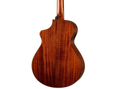 Breedlove Discovery S Concert CE Nylon image 2