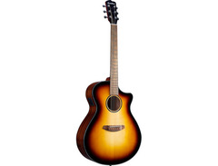 Breedlove Discovery S Concerto CE image 3