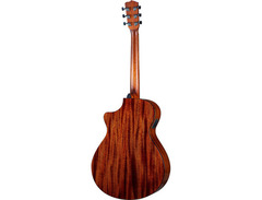 Breedlove Discovery S Concerto CE image 4