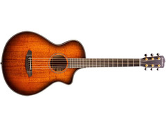 Breedlove	Oregon Concertina CE image 2