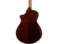 Breedlove Performer Pro Concertina CE image 2