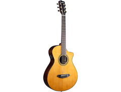 Breedlove Performer Pro Concertina CE image 3