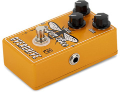 Caline CP-503 Queen Bee Overdrive image 3