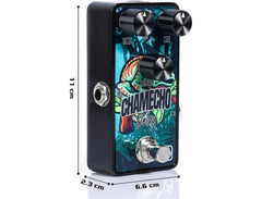 Caline G009 Chamecho Delay image 4