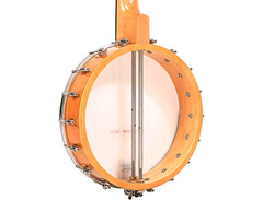Gold Tone CC-100 image 4