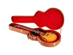 Gibson ES-335 Dot image 4