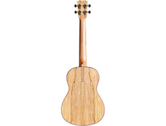 Cordoba 24B Baritone Ukulele image 2