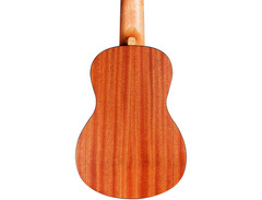 Cordoba Mini R Nylon String Acoustic Guitar image 2