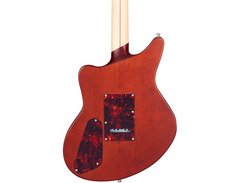 D'Angelico Deluxe Bedford SH with Tremolo image 2