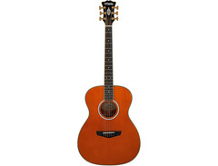 D'Angelico Excel Tammany image 3