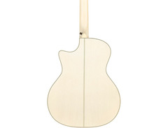 D'Angelico Premier Gramercy CS Grand Auditorium image 2
