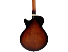 D'Angelico Premier SS Boardwalk image 2