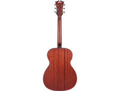 D'Angelico Premier Tammany LS image 4
