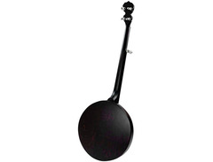 Deering Artisan Goodtime Special 5-String Resonator Banjo image 2