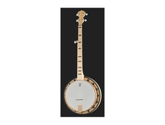 Deering Goodtime Special Classic 5-String Banjo image 2
