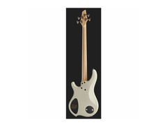 Dingwall NG Adam "Nolly" Getgood Signature 4-String image 3
