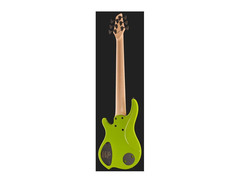 Dingwall NG Adam "Nolly" Getgood Signature 6-String image 2