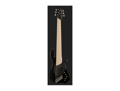 Dingwall NG2 Adam "Nolly" Getgood Signature 6-String image 2