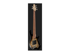 Dingwall Guitars Combustion 5-string Electric Bass - with Pau Ferro Fingerboard image 2