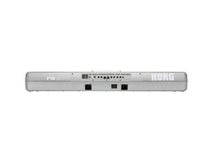 Korg PA900 61-Key Pro Arranger Keyboard image 2