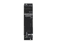 Endorphin.es Godspeed+ Eurorack Synth Module image 4