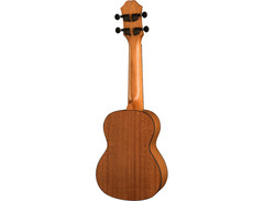 Epiphone EpiLani Soprano Ukulele image 2