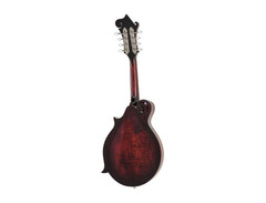 Epiphone Inspired By Gibson Custom F-5G Mandolin image 2