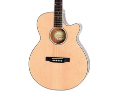 Epiphone PR-4E Player Pack image 2